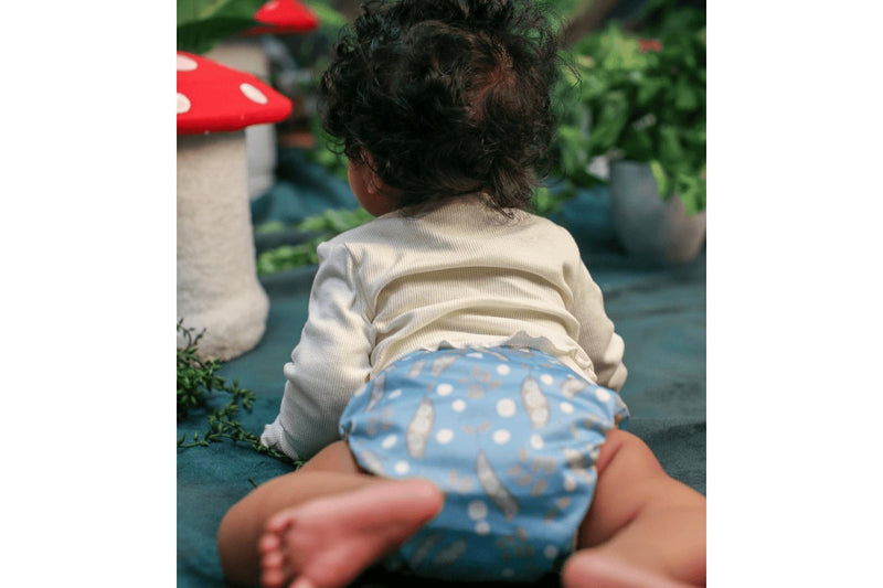 Snazzi Pants: All in One Reusable Nappy - Sweet Pea