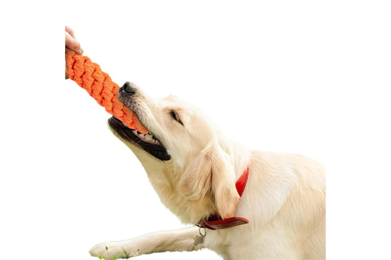 10Pcs Set Dog Chew Bite Toy Pet Braided Rope Toys Teeth Cleaning Toys Style 1