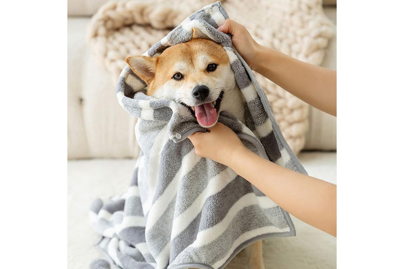 PETSWOL Small Dog Bath Robe - Striped