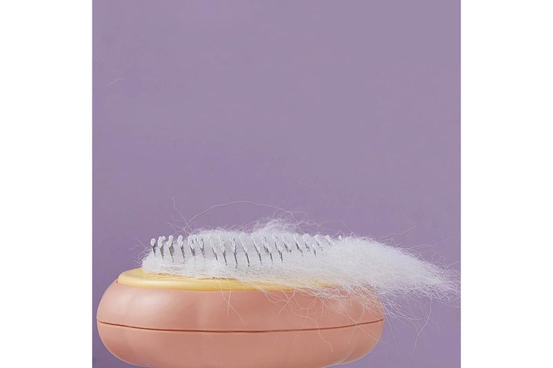 Pumpkin Pet Brush - Purple