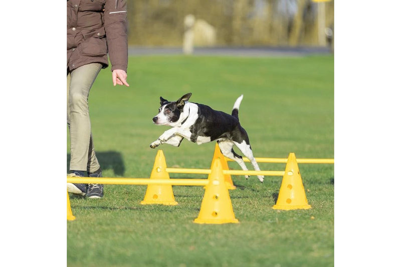 ZOOMIES Dog Agility Hurdle Cone Set - Yellow