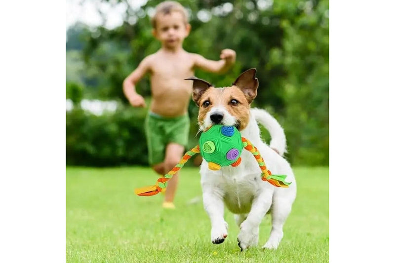 Pet Snuffle Ball with Interactive Rope Interactive Puzzle Toys Dog Chew Toys Green