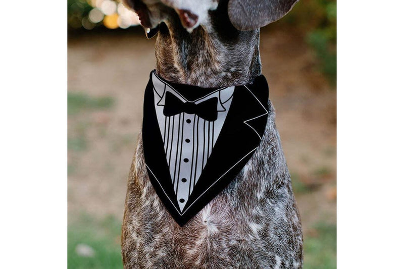 Pet Bandana - Tuxedo Shirt Print