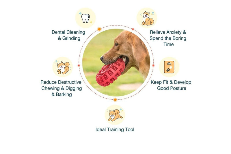 Pet Treat Dispenser Chew Toy - Red