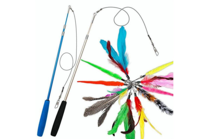 Cat Fishing Pole Toy Set Retractable Cat Wand and Feather Toys Interactive Kitten Toys