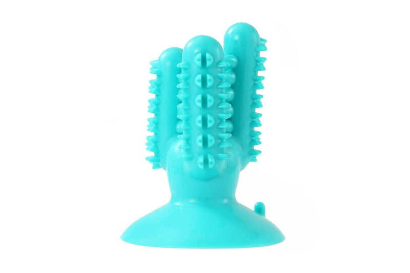 2x Paws & Claws 13cm Cactus Suction Brush Dental Treat Pet Dog Rubber Toy Teal