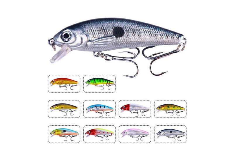 10 Colour Boxed Floating Mino Bionic Lures