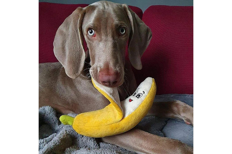 Plush Banana Dog Toy