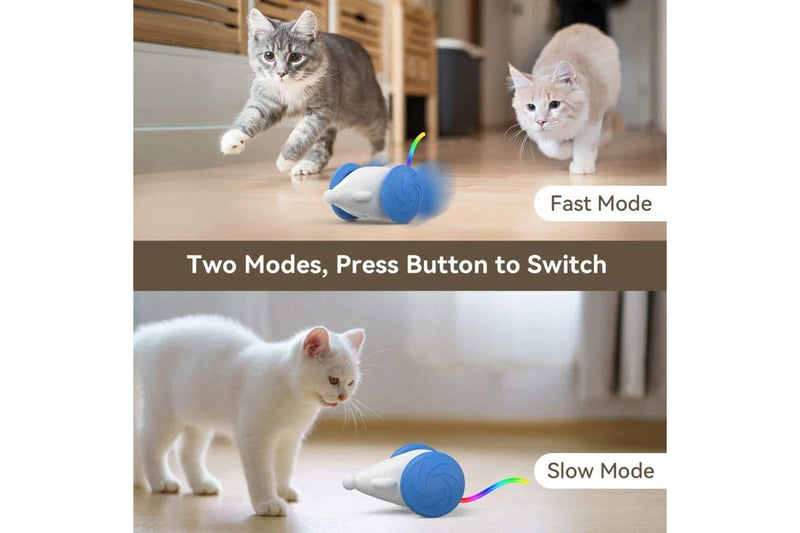 Interactive Cat Toy Usb Rechargeable With Squeaking Sound And Led Flashing Tail