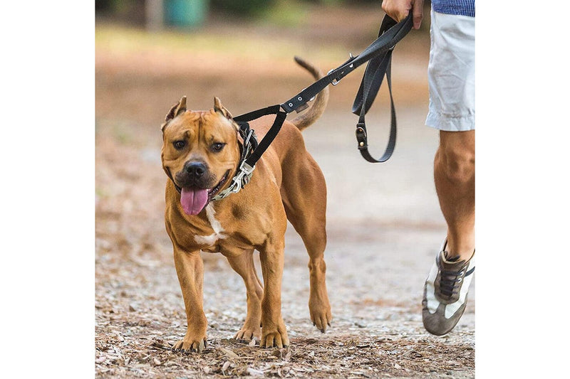 Adjustable Dual Dog Leash No Tangle Coupler Double Pet Puppy Leash Black