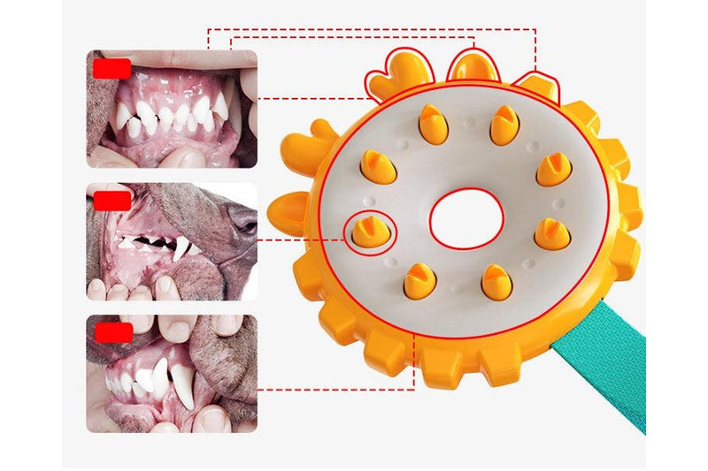 Dog Chew & Teeth Cleaning Toy - NZ Stock