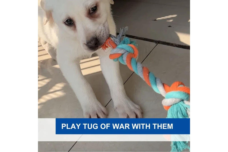 Durable Dog Rope Toy Teething Chew Toy