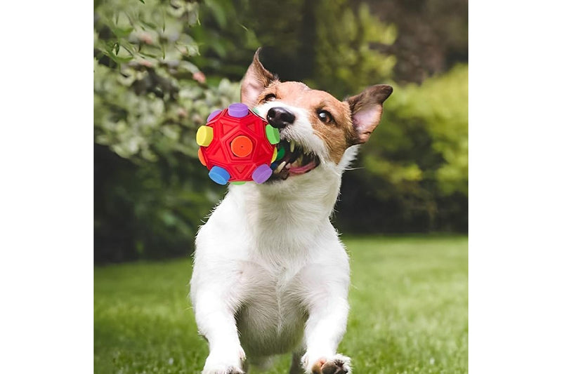 ZOOMIES Sniffer Ball with Fabric Puzzle Toy - Red