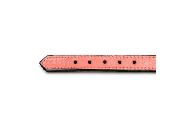 Dog Collar By Gloria Padded Coral 40 x 2 cm