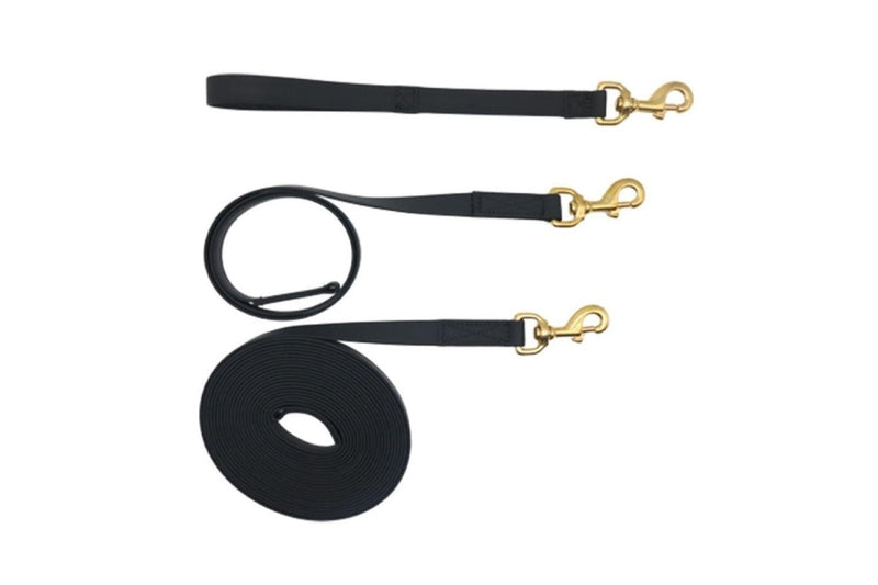 Waterproof Durable Dog Leash With p Shape Hook