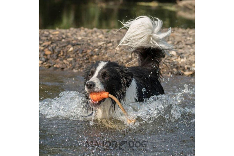 Major Dog Swimming Eddy Floating Fetch Toy With Handle - Small - One Size