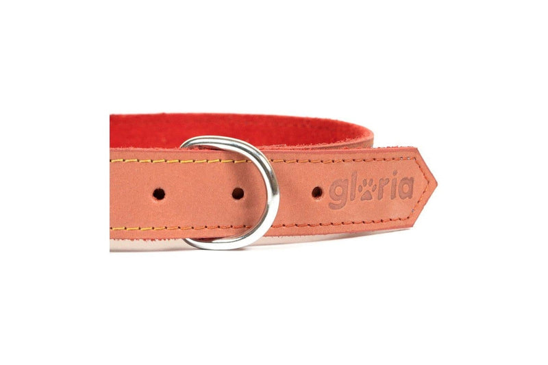 Dog Collar Gloria Oasis Red (1,5 x 40 Cm)