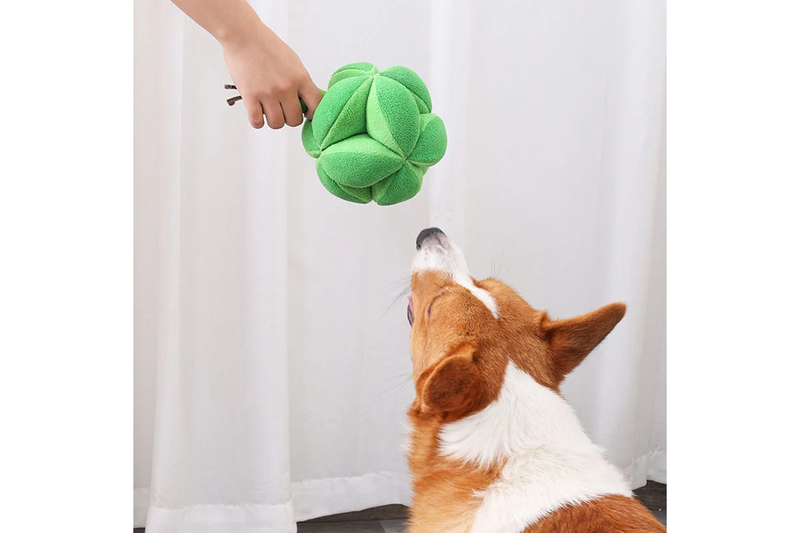 Snuffle Broccoli Dog Puzzle Toys Increase Iq Slow Dispensing Feeder Pet Cat Training Games Feeding Food Intelligence -