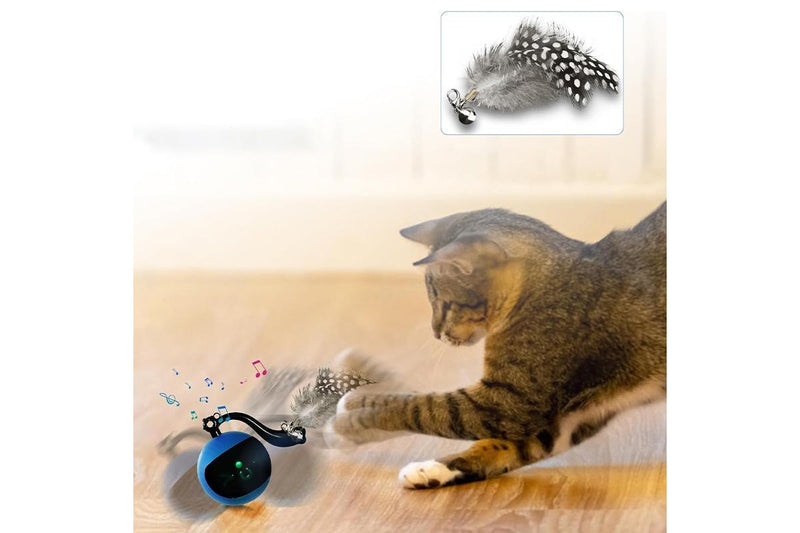 PETSWOL Interactive Cat Toy Ball with Remote Control - Blue