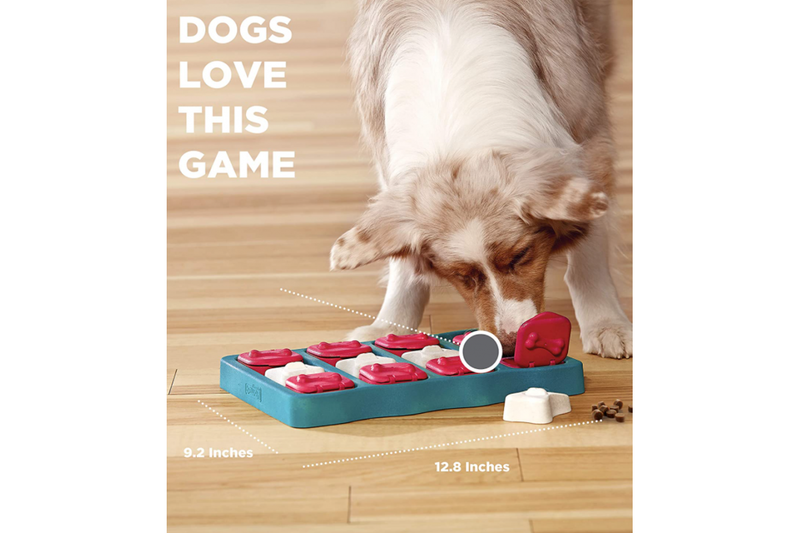 Nina Ottosson by Outward Hound Dog Brick Interactive Treat Puzzle Dog Toy - NZ Stock