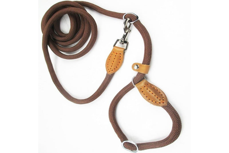 Multifunctional Dog Leash With p Shape Collar