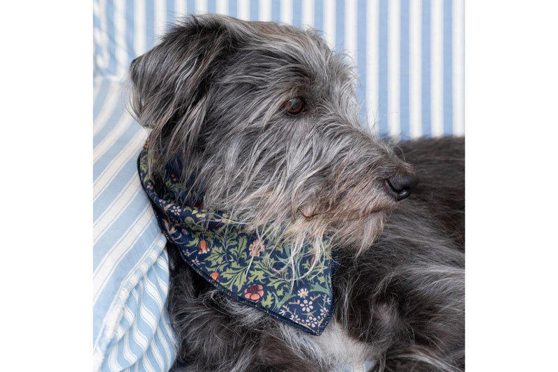 William Morris: Canine Companion Dog Bandana and Hand Cream Gift