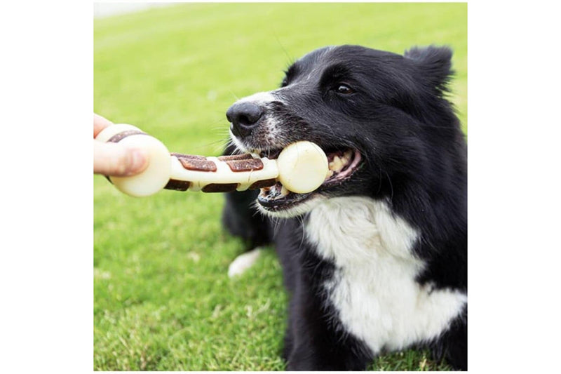 Durable Nylon Teeth Cleaning Beef Flavor Dog Chew Bone Toy For Aggressive Chewers