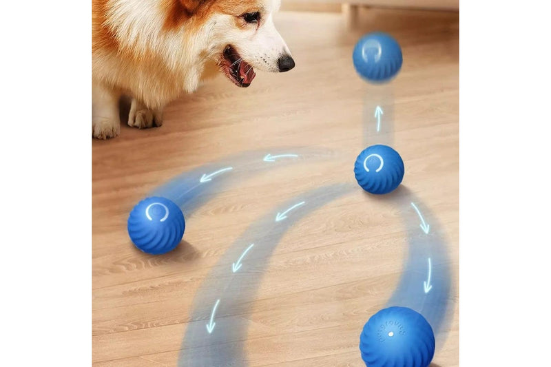 Pet Automatic Rolling Ball Toy Jumping Bouncing Ball Pet Dog Toy Blue