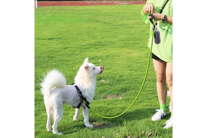 ZOOMIES 1.5M Reflective Threads Dog Leash with Padded Handle - Green