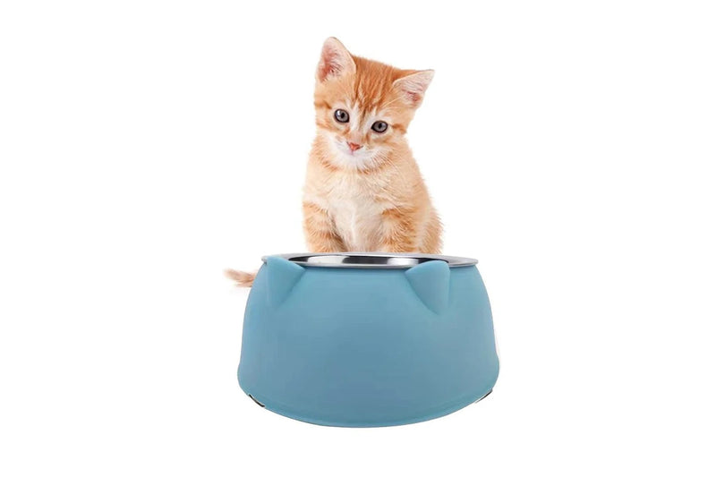 Tilted Dog Food Bowl Stainless Steel Cat Dog Feeder Blue