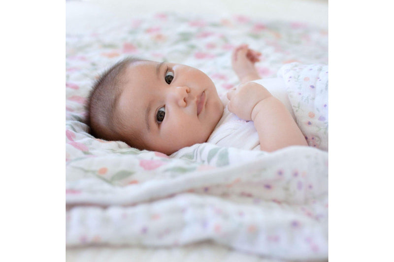 Aden + Anais: Dream Blanket - Naturally