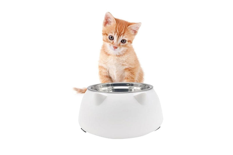 Tilted Dog Food Bowl Stainless Steel Cat Dog Feeder White