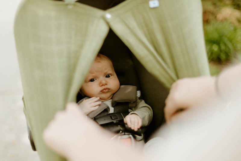 Little Unicorn: Muslin Car Seat Canopy V2 - Fern