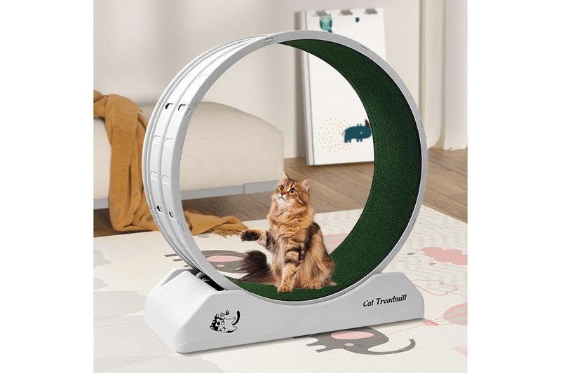 ZOMMIES 80cm Indoor Cat Wheel - Gray