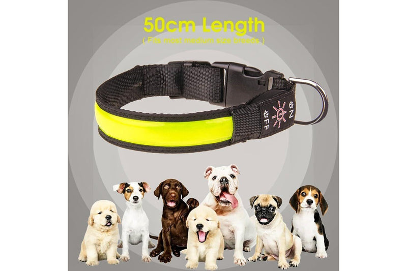 LED Dog Cat Collar USB Rechargeable Nylon Glow Flashing Light Up Safety Puppy