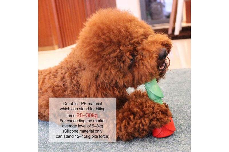 Attractive Durable Floatable Cleaning Teeth Rose Shaped Dog Chew Toy For Small Medium Large Dog