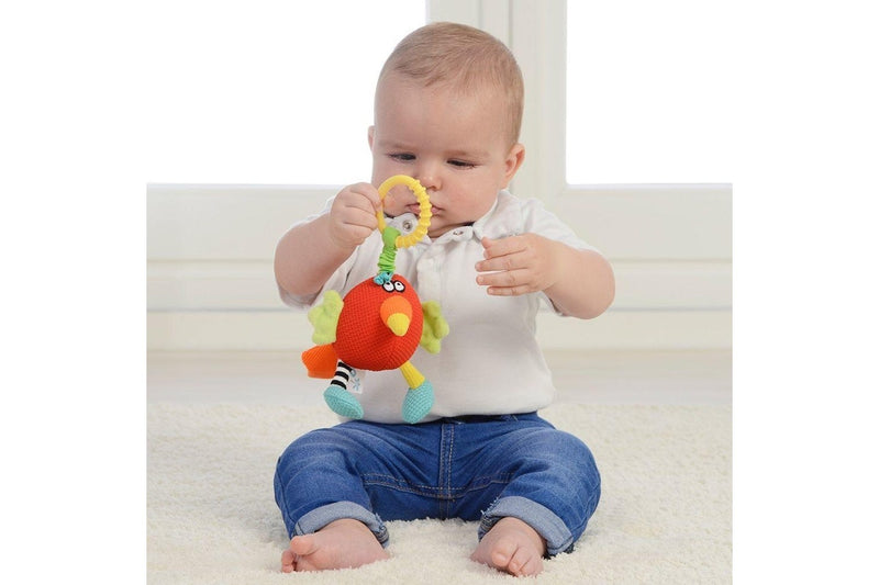 Dolce: Shaker Activity Toy - Parrot