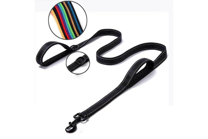 Double Handle Reflective Leash