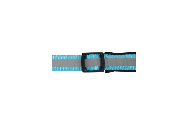 Jackson Pet Co Reflective Dog Collar (Blue) (S-M)