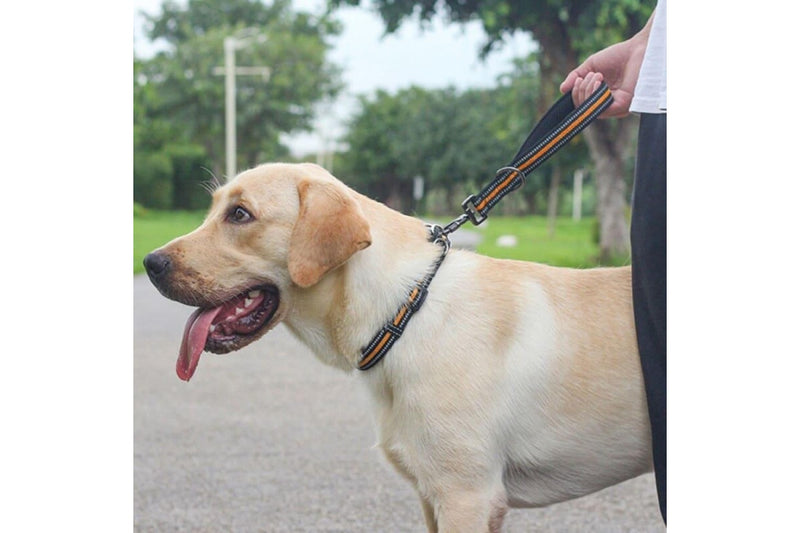 Reflective Step Traction Leash With Mesh Handle