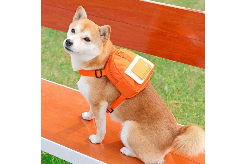 Dog Backpack Harness with D-Ring - Orange