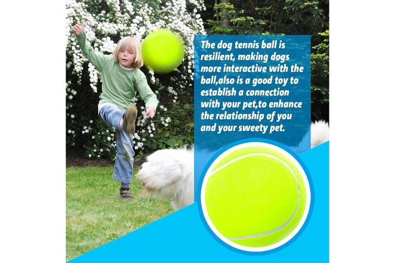 Durable Non-toxic Inflatable Big Tennies Ball For Small Medium Large Dogs