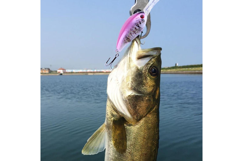 Realistic 12cm Hard Plastic Fishing Lures