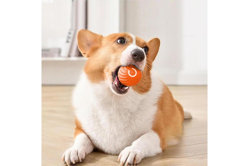 Pet Automatic Rolling Ball Toy Jumping Bouncing Ball Pet Dog Toy Orange