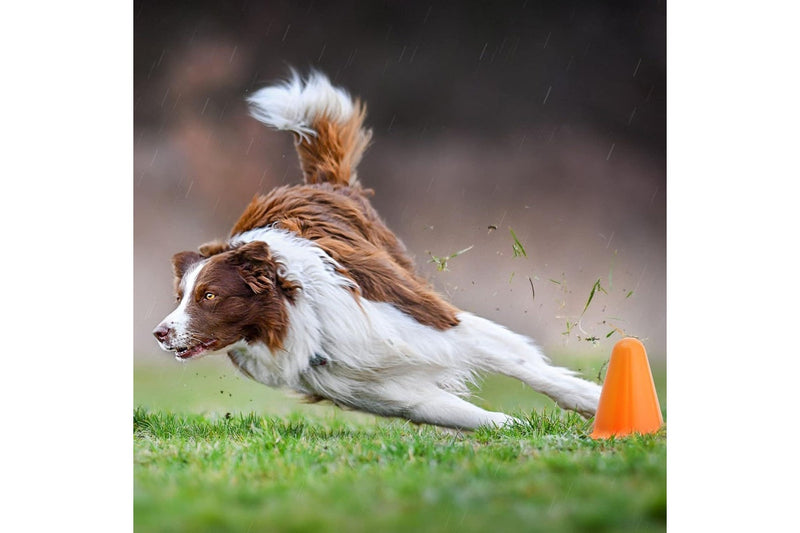 Mini Training Sports Cones Set of 5 - Assorted Colour