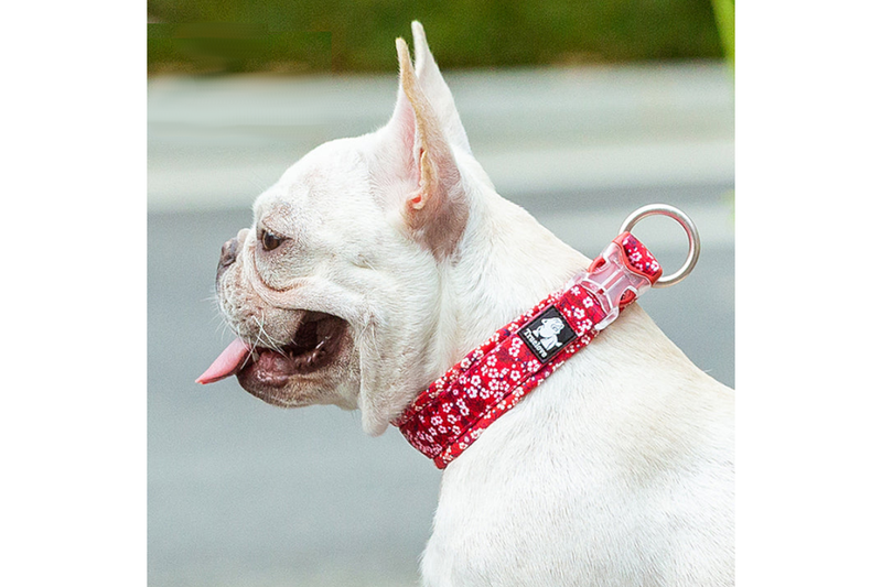 Floral Collar Poppy Red 2Xl