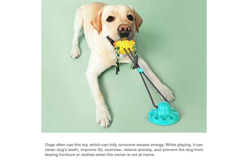 Bite-resistant Squeaker Teeth Cleaning Tug Of War Chew Suction Cup Dog Treat Ball Cotton Rope Toy