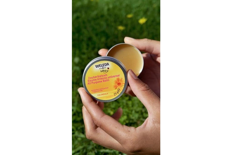 Weleda: Calendula All Purpose Balm (25g)