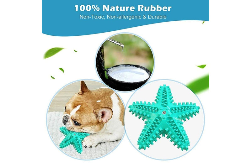 Durable Squeaky Toothbrush Dog Chew Toys For Aggressive Chewers For Small Medium Big Dogs