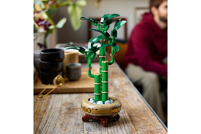 LEGO Botanicals: Lucky Bamboo - (10344)